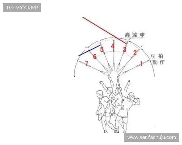 刘伟独家揭秘羽毛球技巧与训练心得分享助你提升竞技水平