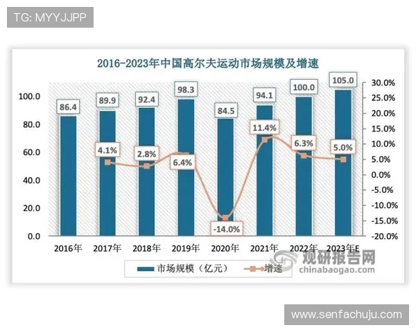 武汉乒乓球队战术解析与提升策略探讨助力竞技水平新突破