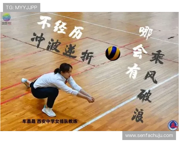 深度对话赵伟分享排球人生的成长与挑战之路