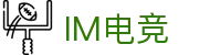 IM(股份有限公司)电竞-电子竞技平台
