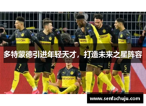 多特蒙德引进年轻天才，打造未来之星阵容